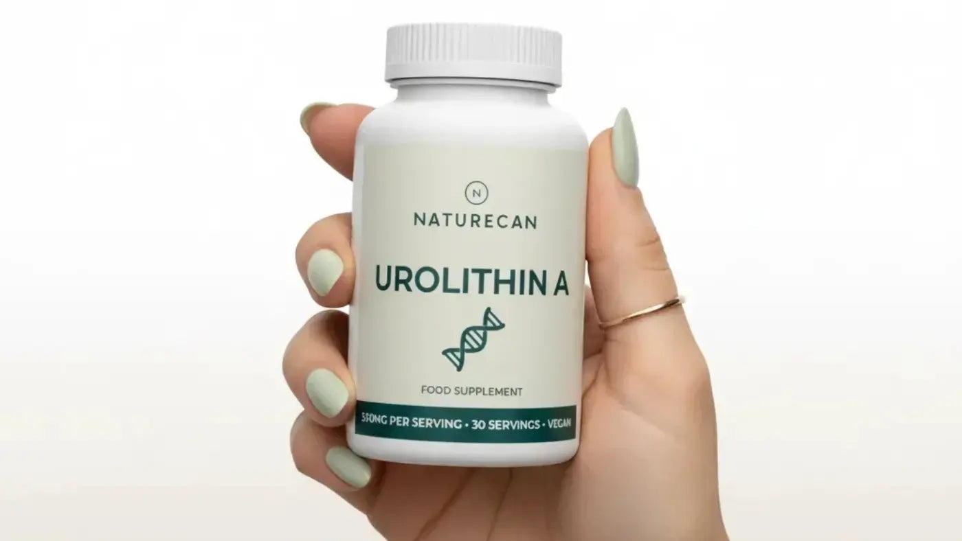 urolithin a förmåner och användningar