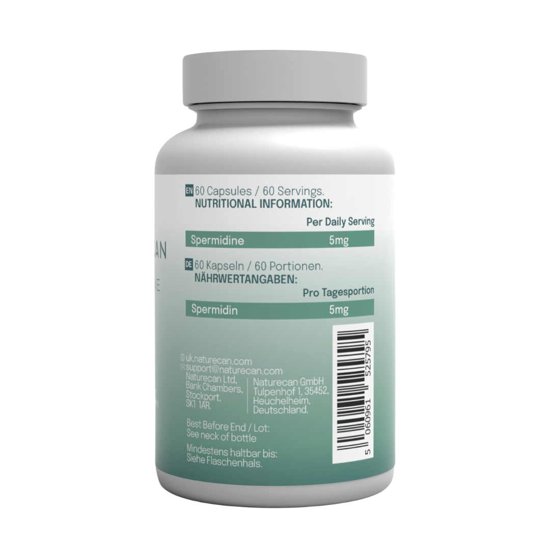 spermidin baksida