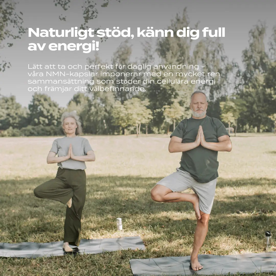 NMN förmåner