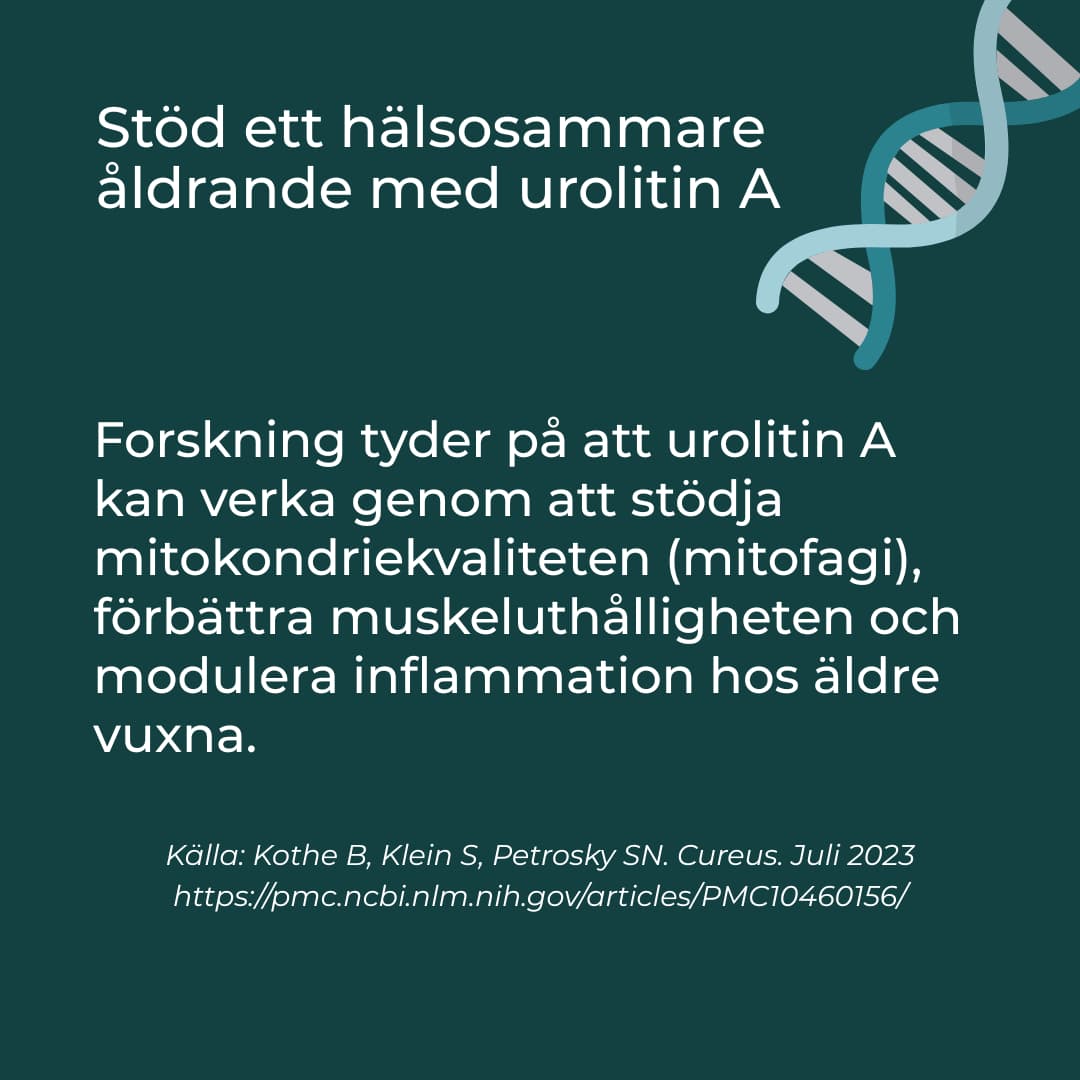 förmåner med urolitin a
