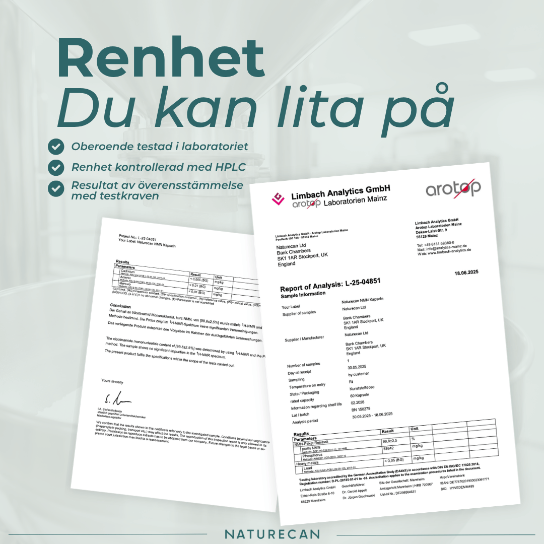nmn labbrapport