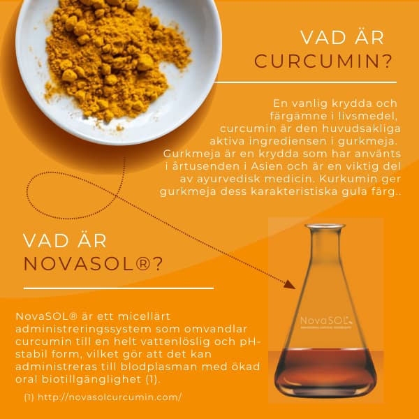 curcumin infographic