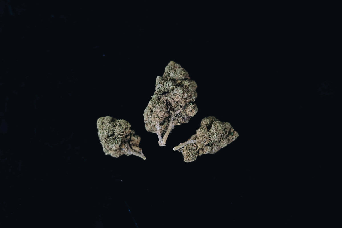 indica vs sativa