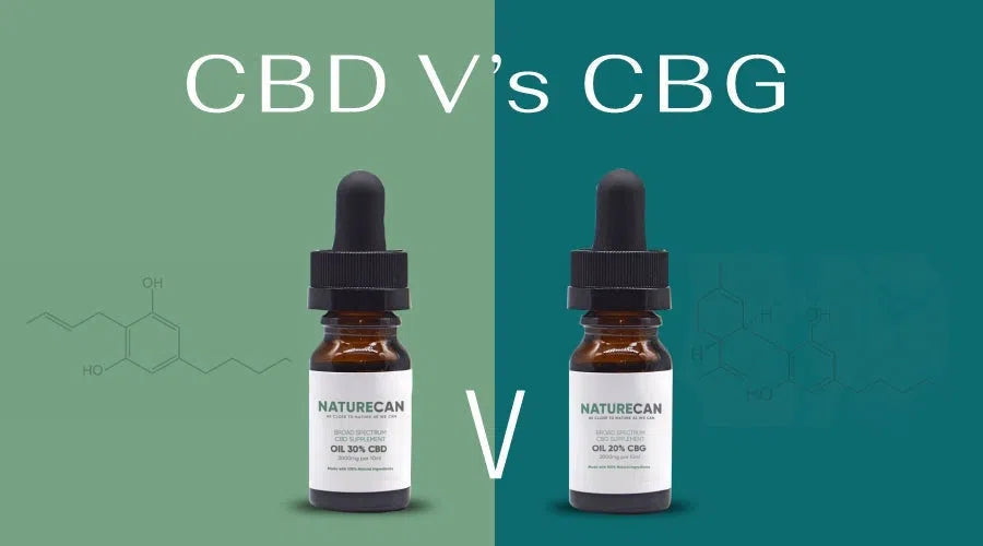 Hälsobloggen-CBG vs CBD
