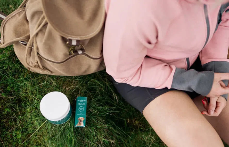 Vilka hudproblem hos hundar kan skapa irritation?