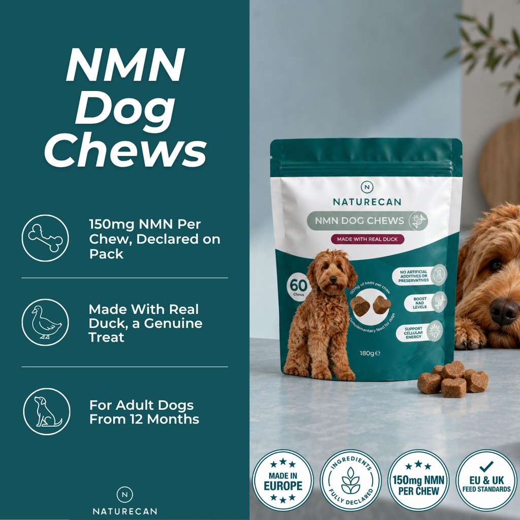 NMN godis för hund
