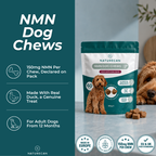 NMN godis för hund