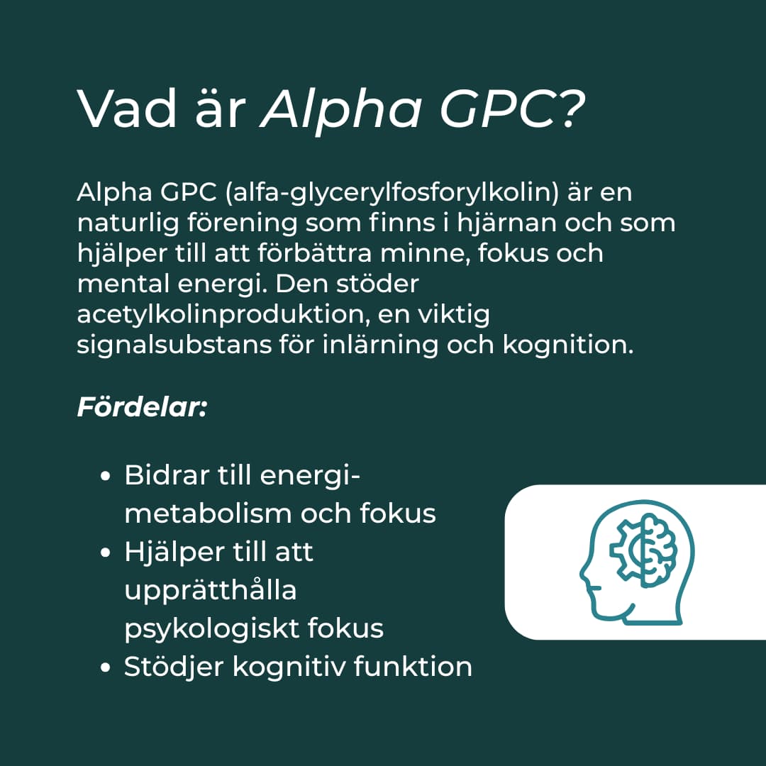 vad är alpha gpc