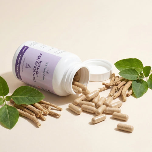ashwagandha lifestyle