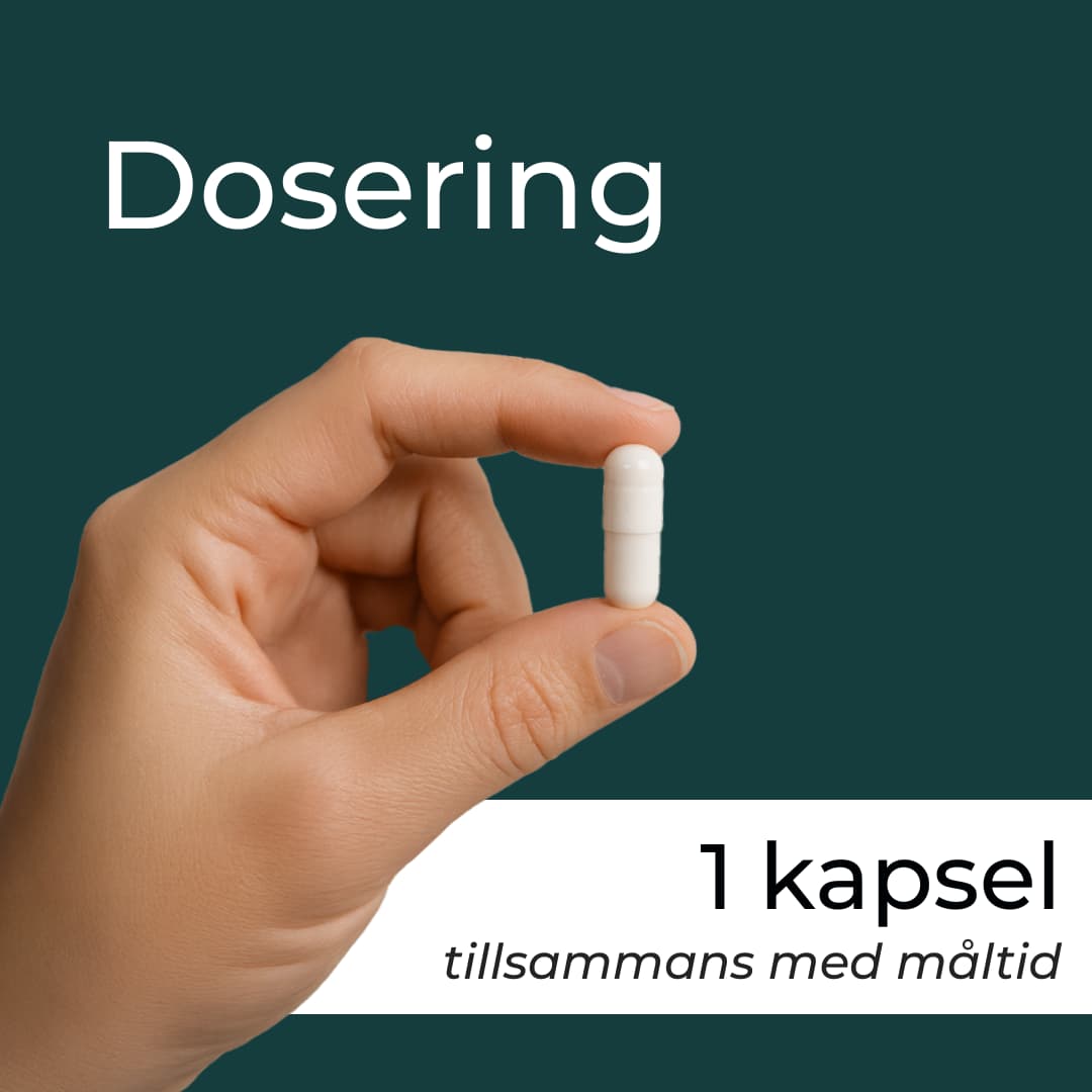 dosering alpha gpc