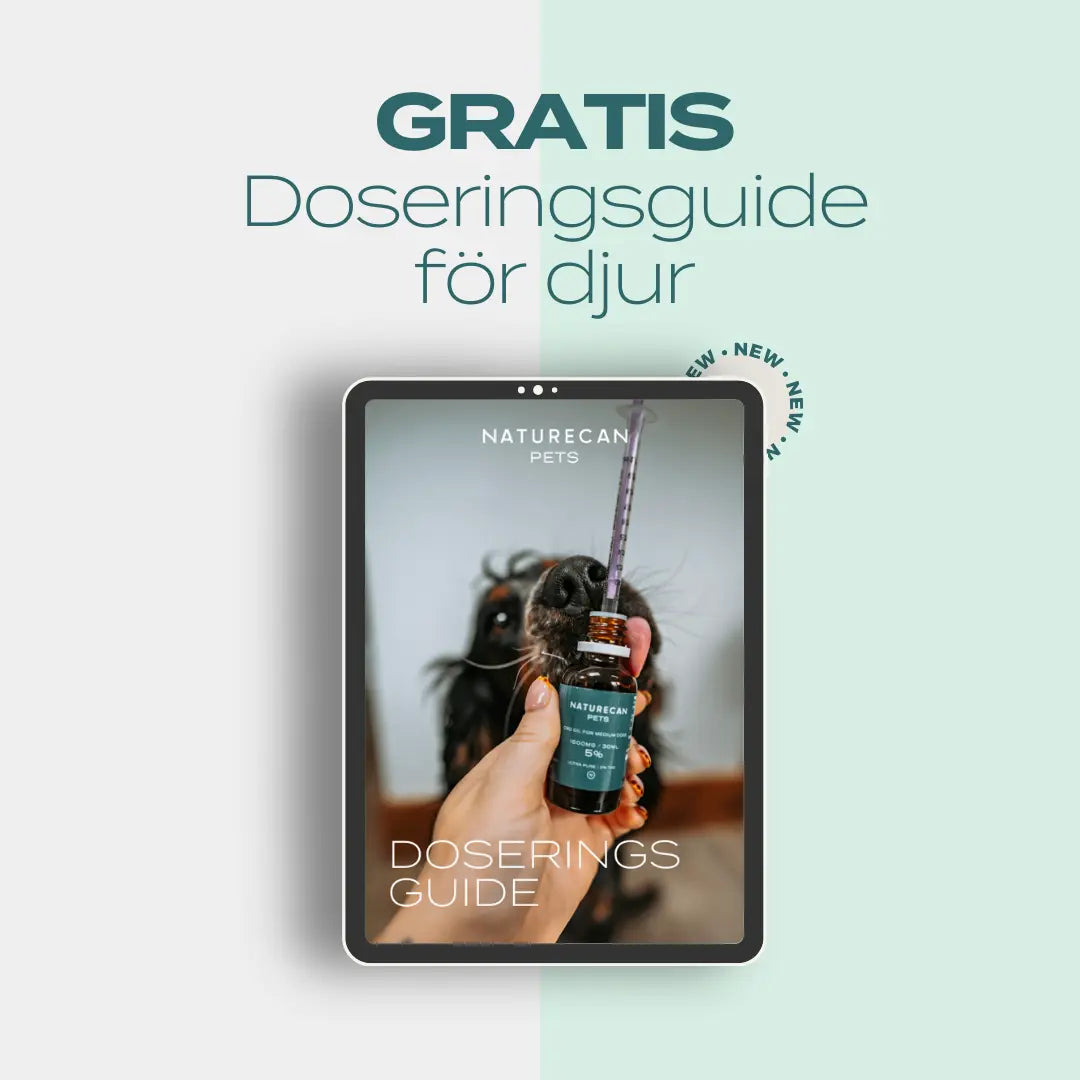 Gratis doseringsguide för husdjur
