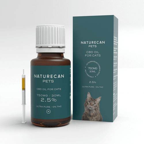 CBD-Olja Katt