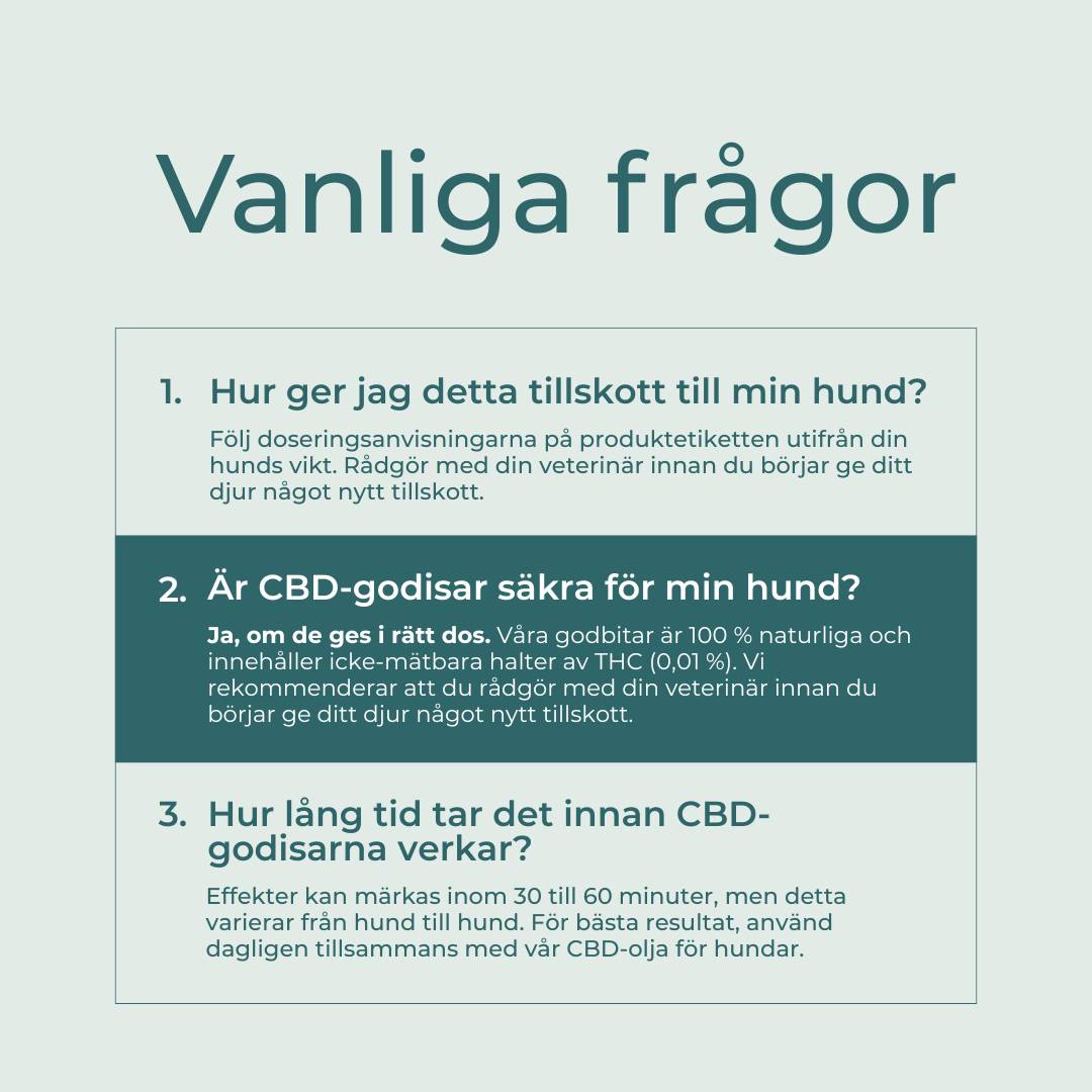 Vanliga frågor om lugnande hundgodis