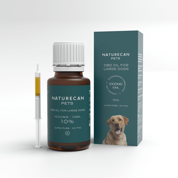 CBD-olja hund