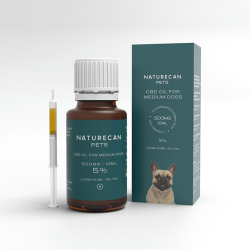 CBD-olja hund
