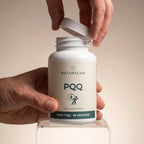 PQQ kosttillskott