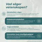 Berberin vetenskap