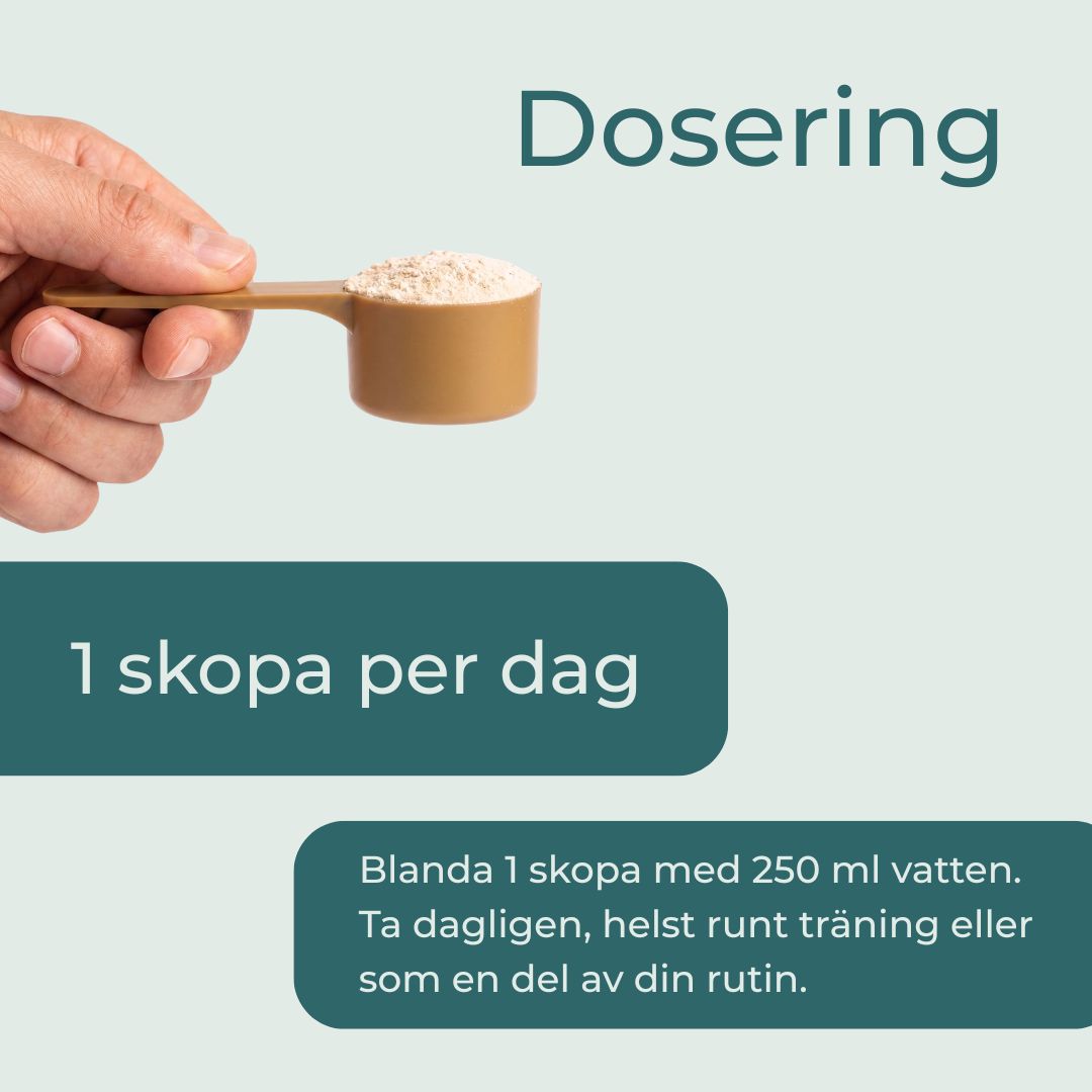Kreatin dosering