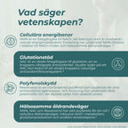 Vetenskap