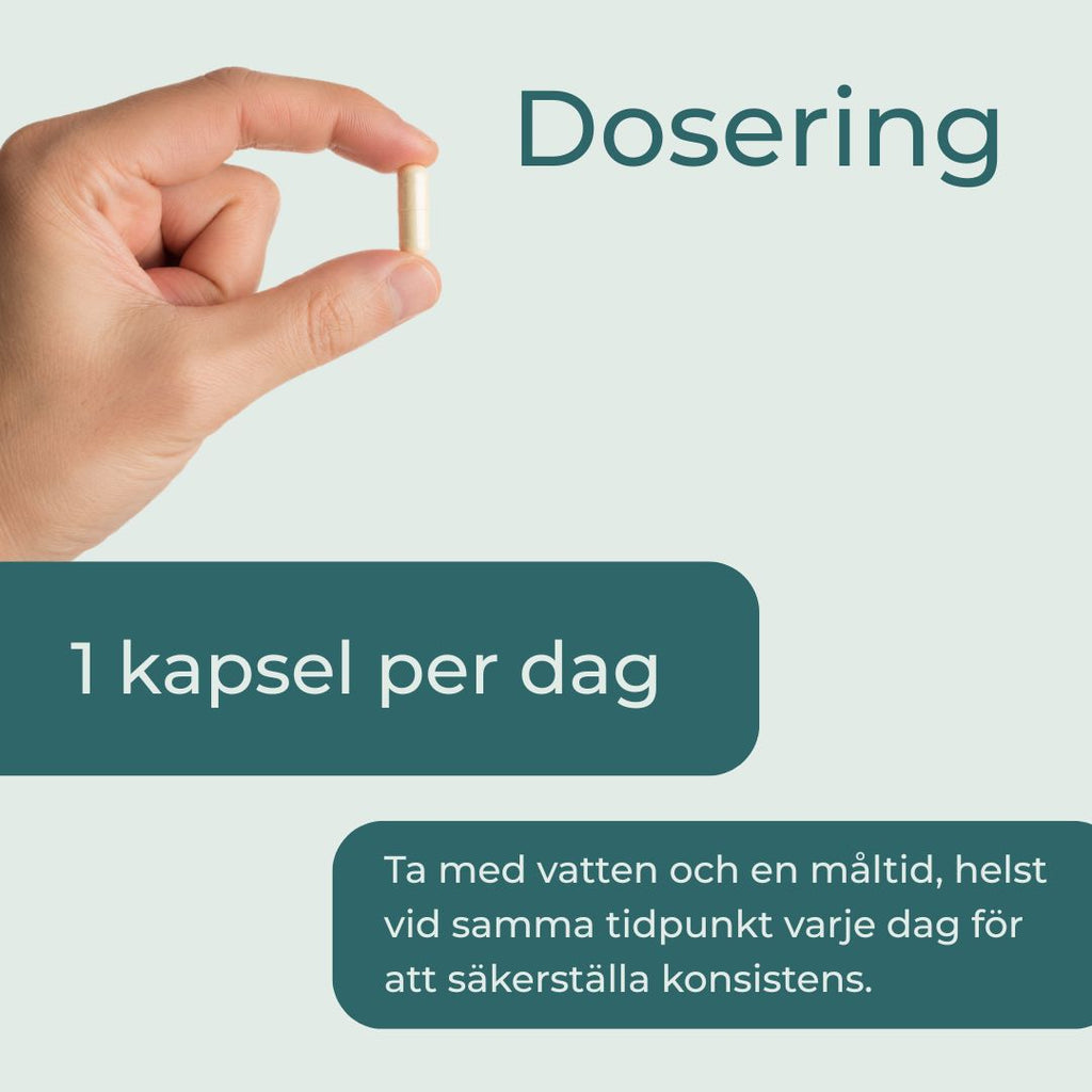 Resveratrol dosering