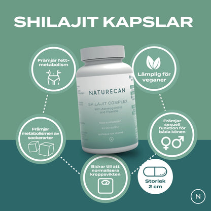 Shilajit fördelar