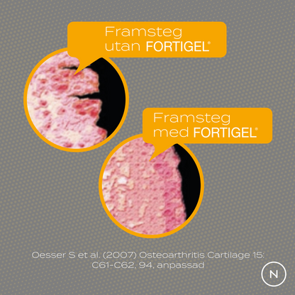 kollagen med och utan fortigel