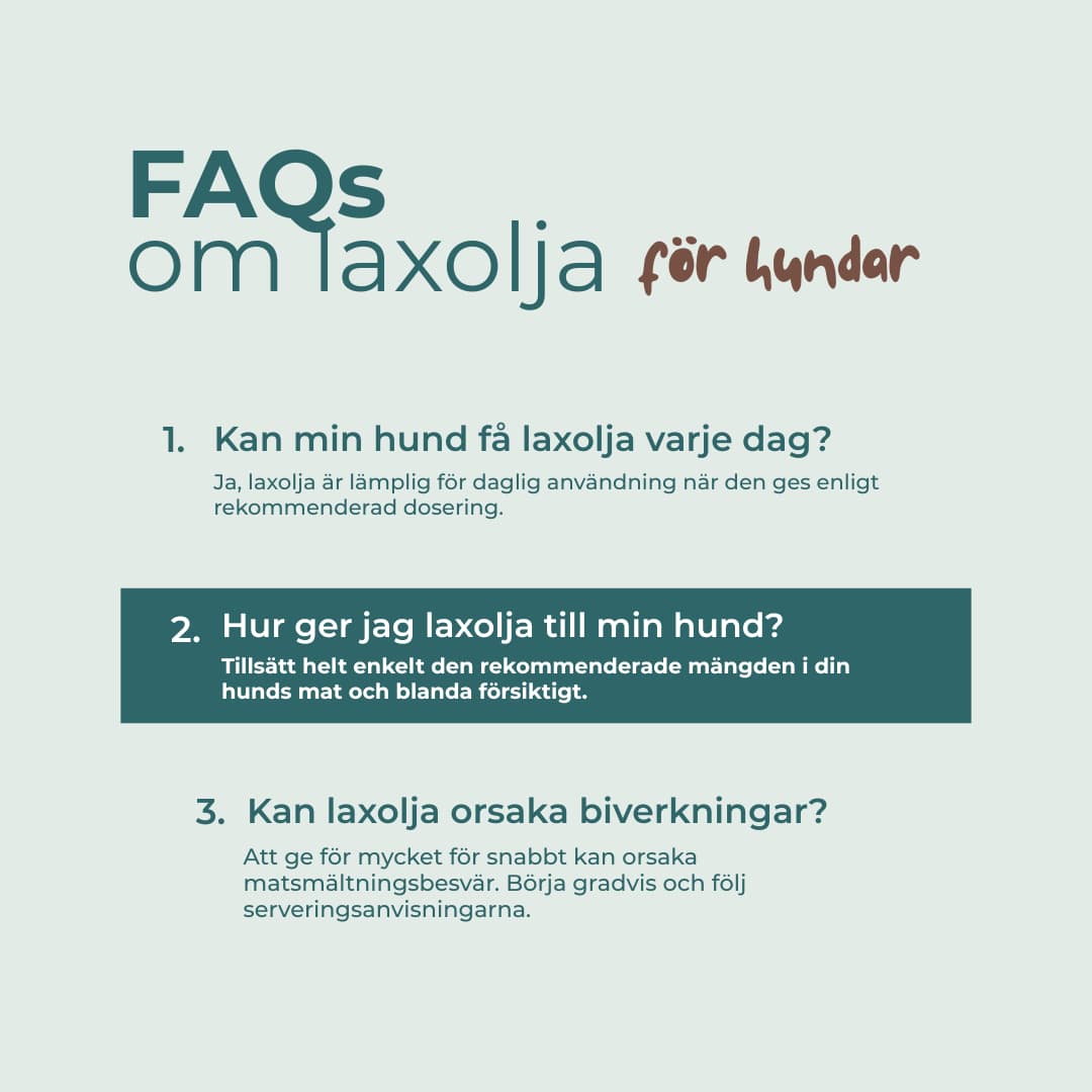 faqs om laxolja för hundar