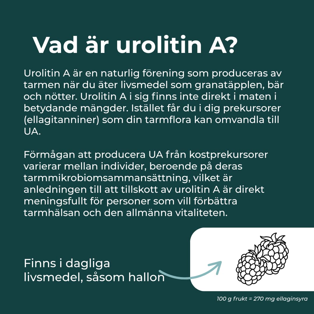 vad är urolitin a?