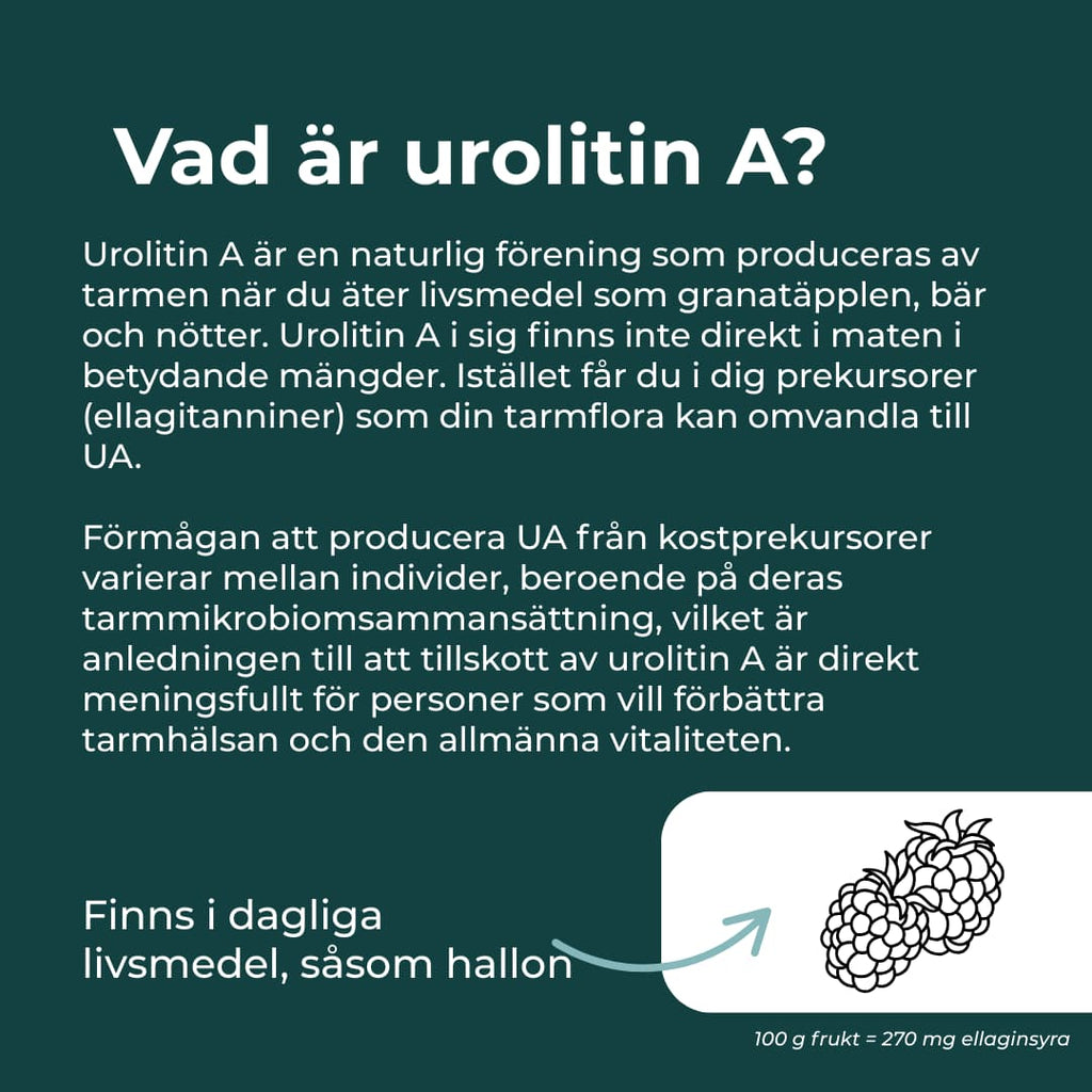 vad är urolitin a?