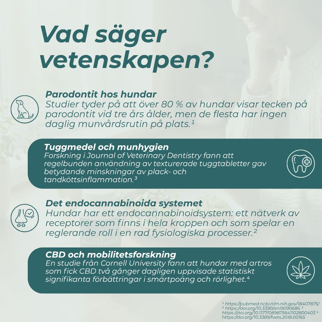 vetenskapen om cbd för hundar