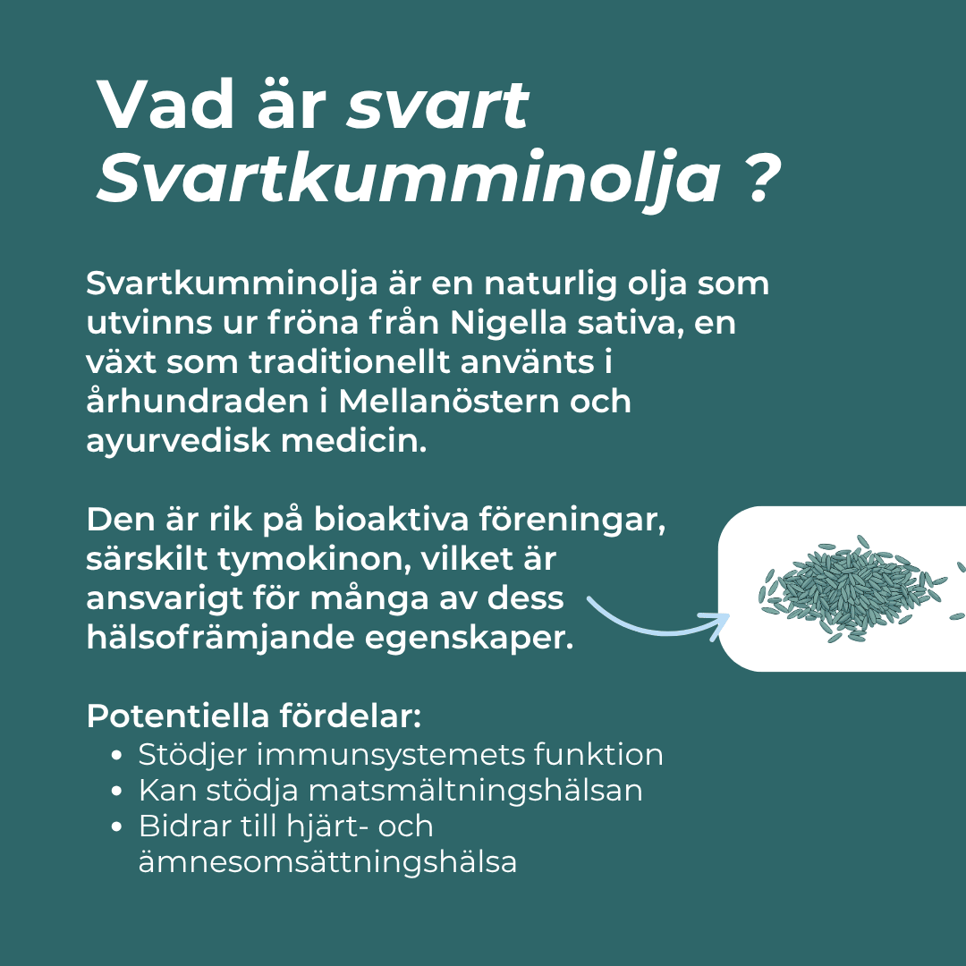 hva er Svartkumminolja 