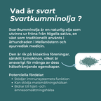 hva er Svartkumminolja 