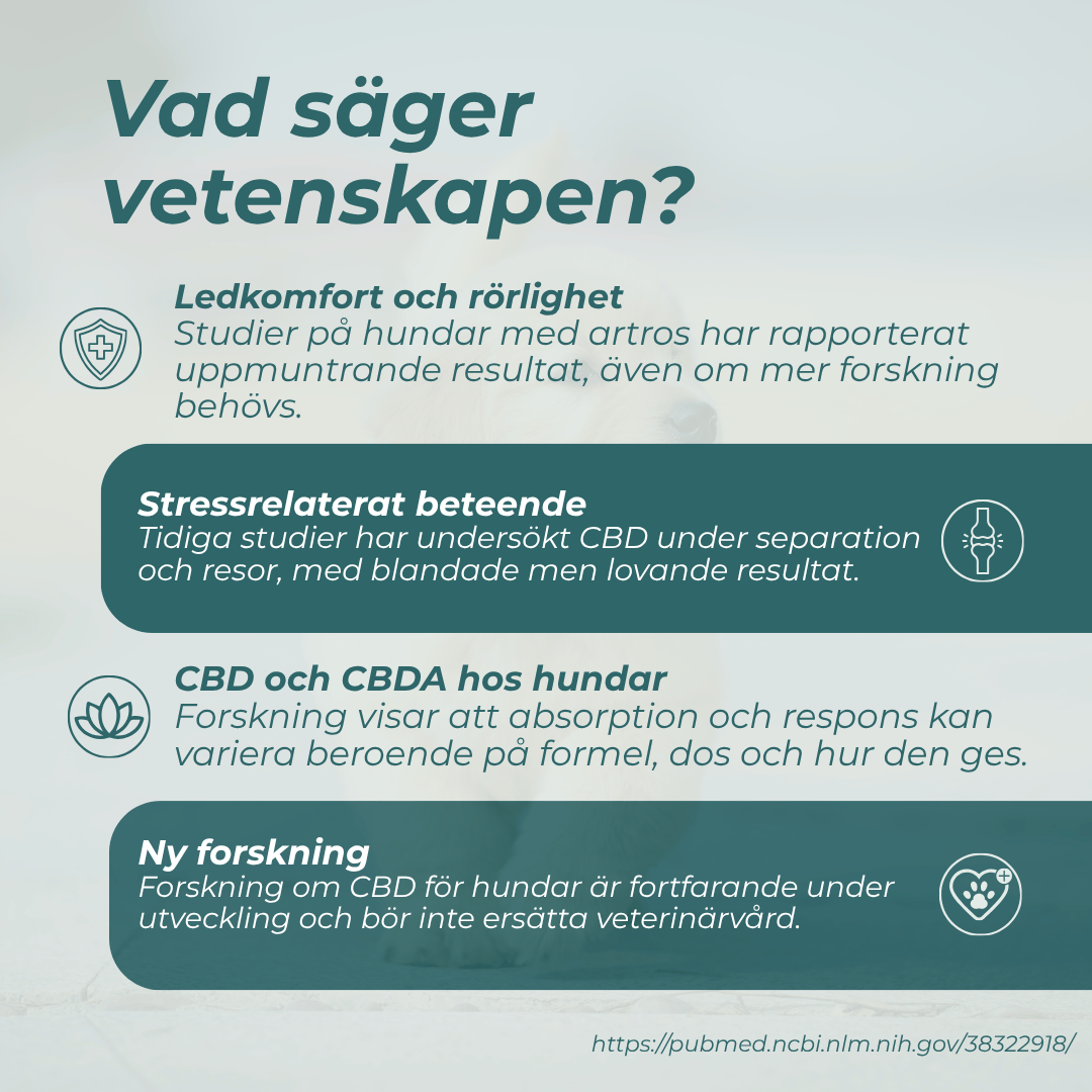 vad säger vetenskapen om CBD för hundar