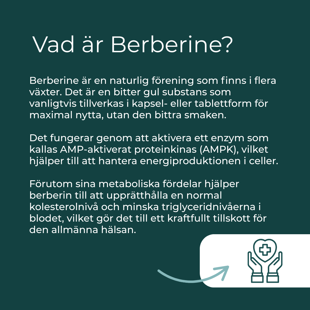 vad är Berberine?