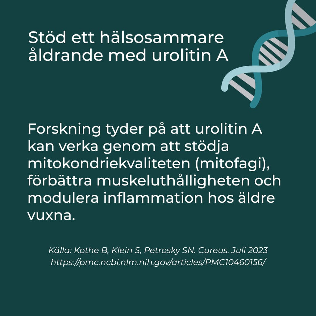förmåner med urolitin a