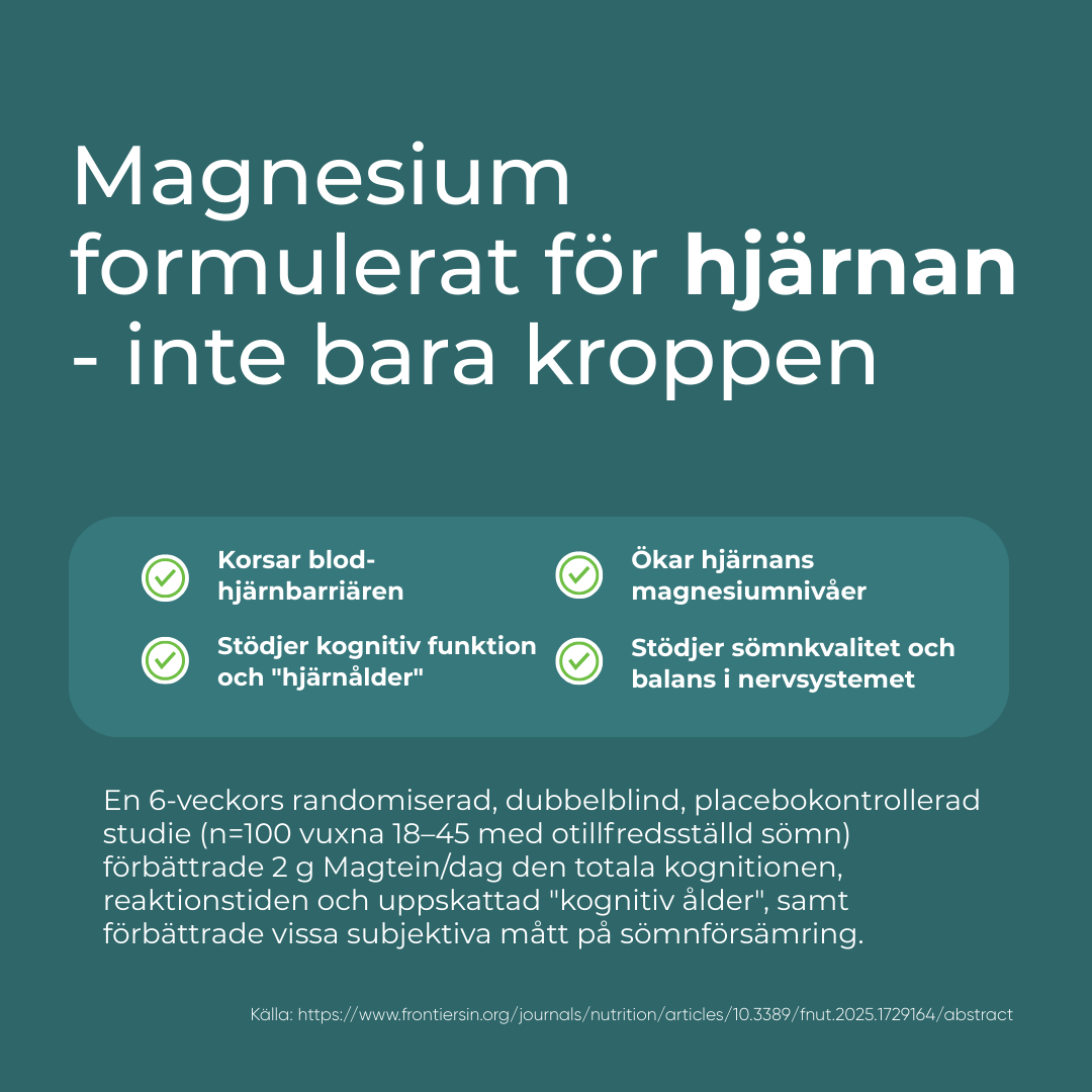 magnesium l treonat för hjärnan