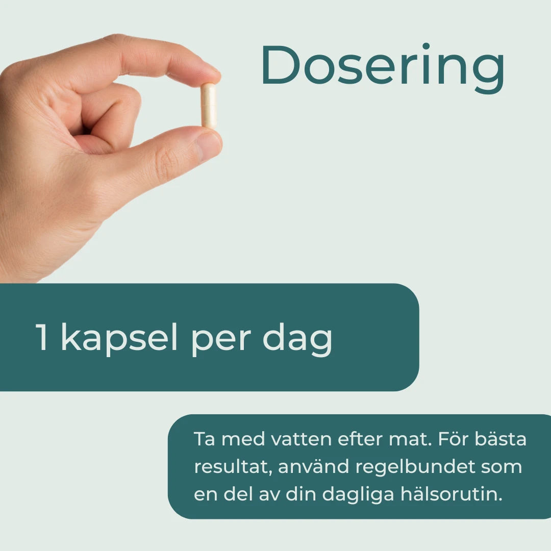Ksm-66 ashwagandha dosering