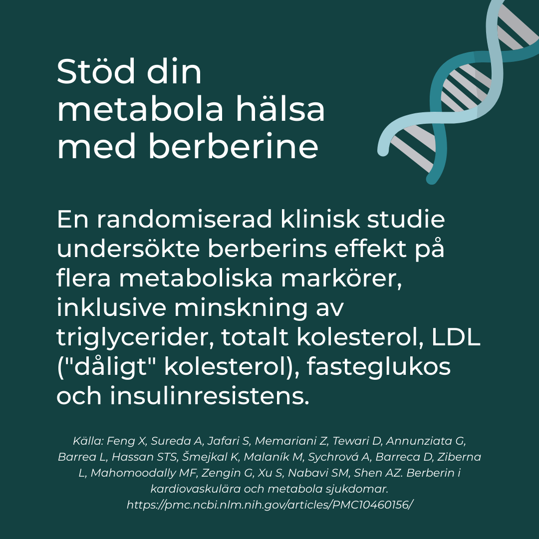 Berberine stöder metabola hälsan