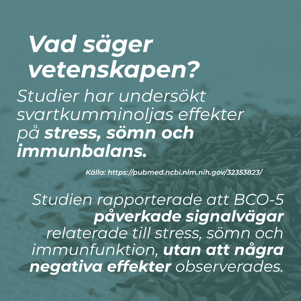 Svartkumminolja och stress