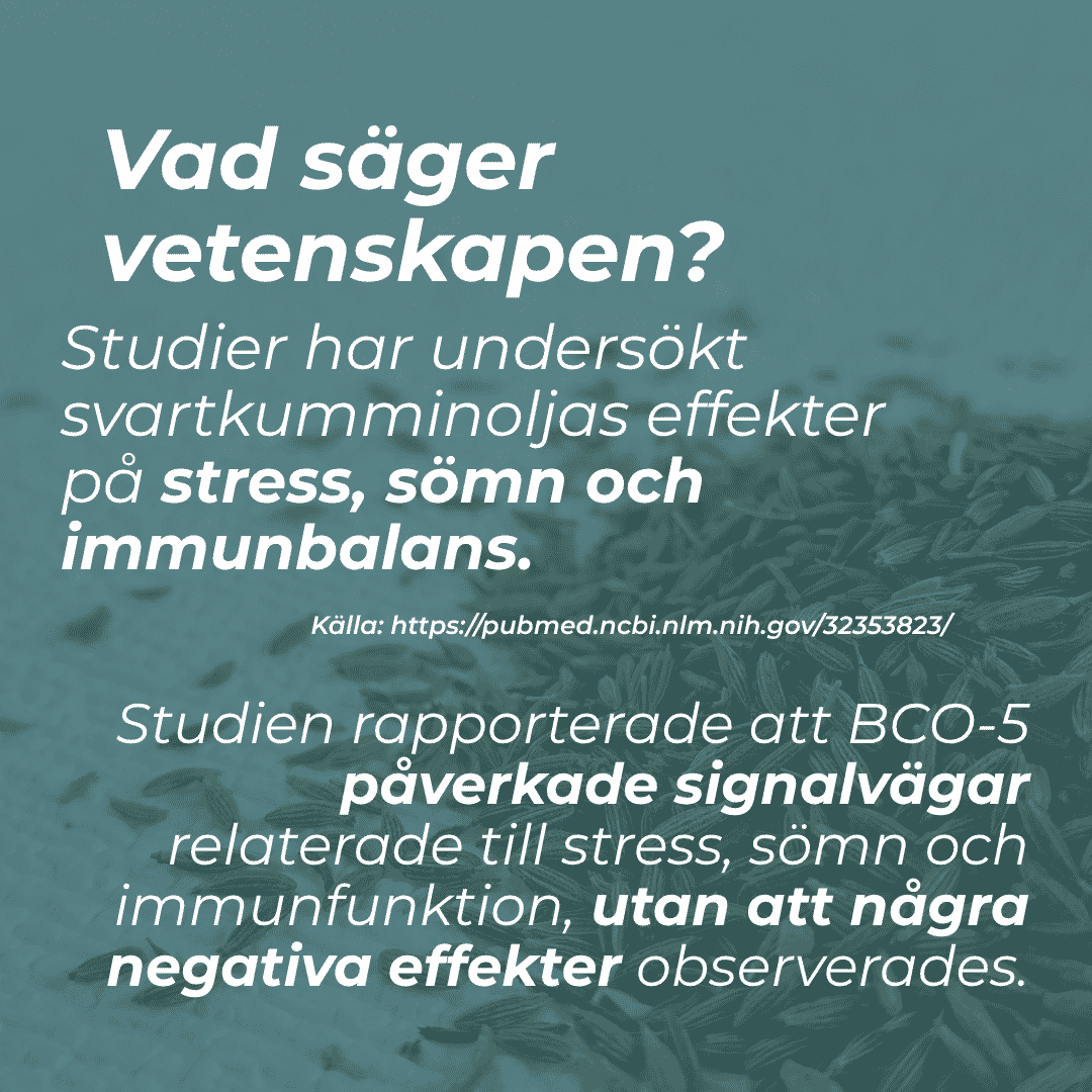 Svartkumminolja och stress