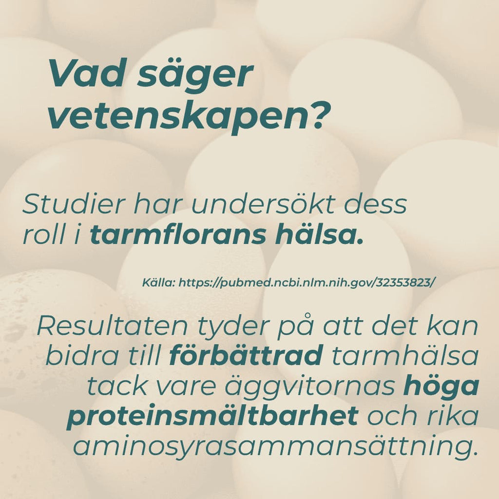 Ägg protein och tarmhälsa