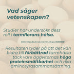 Ägg protein och tarmhälsa