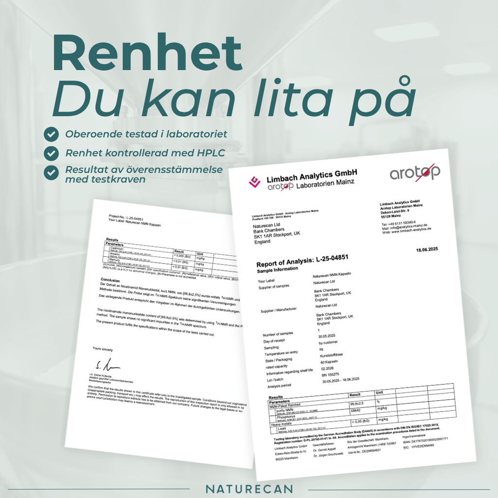 nmn labbrapport