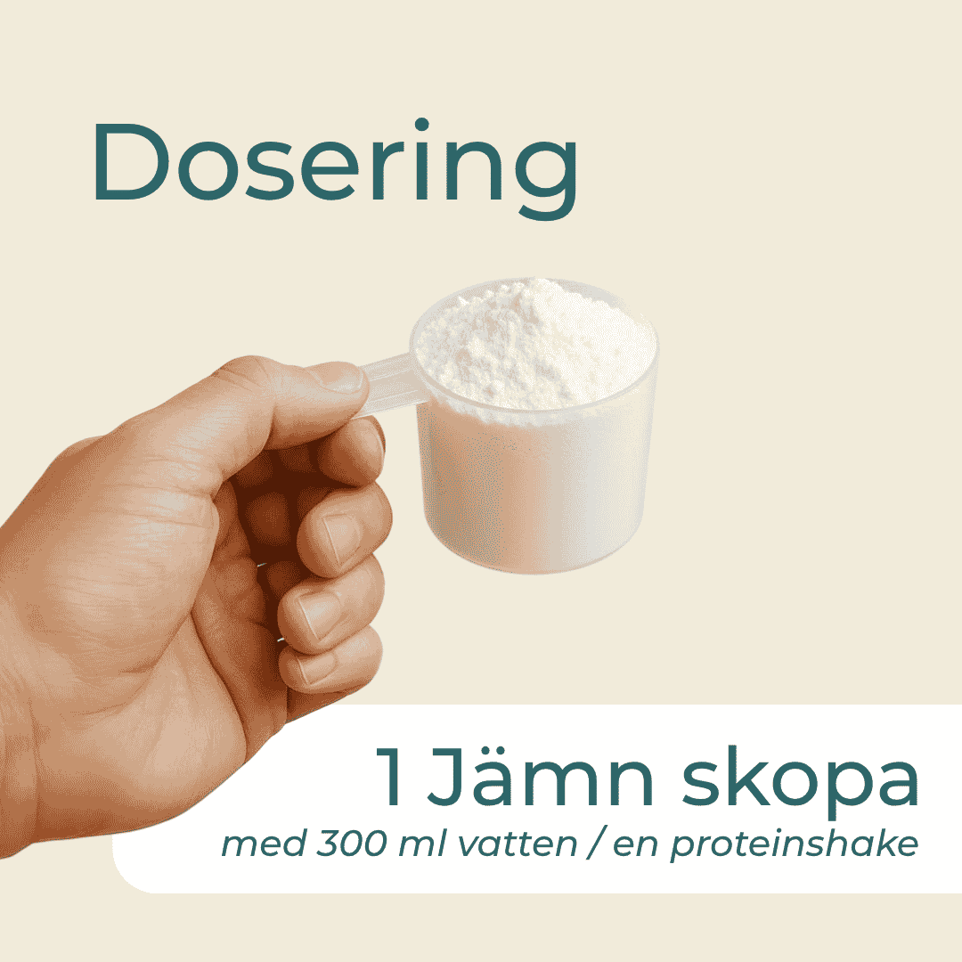 Äggvitepulver dosering