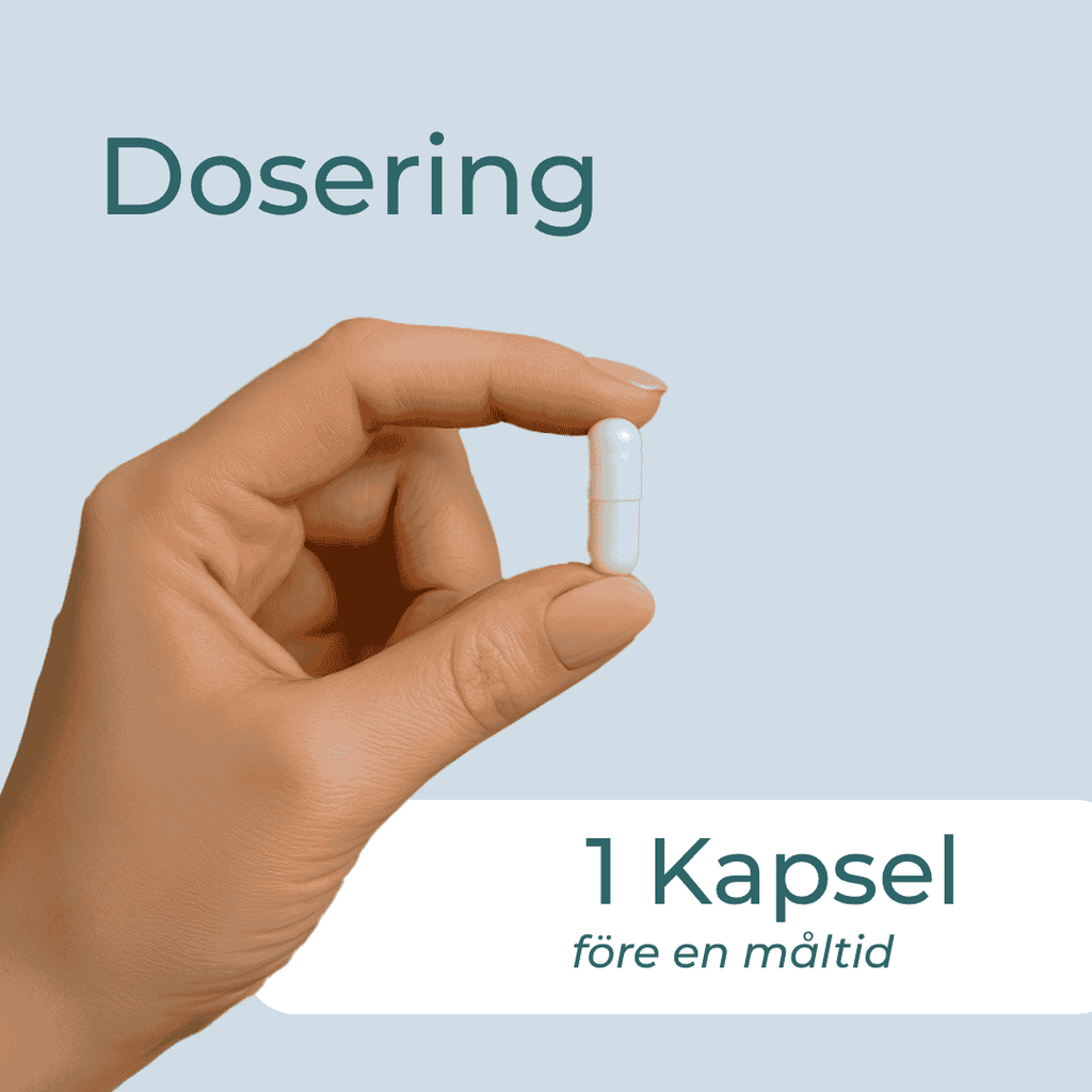 dosering av Svartkumminolja 