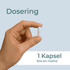 dosering av Svartkumminolja 