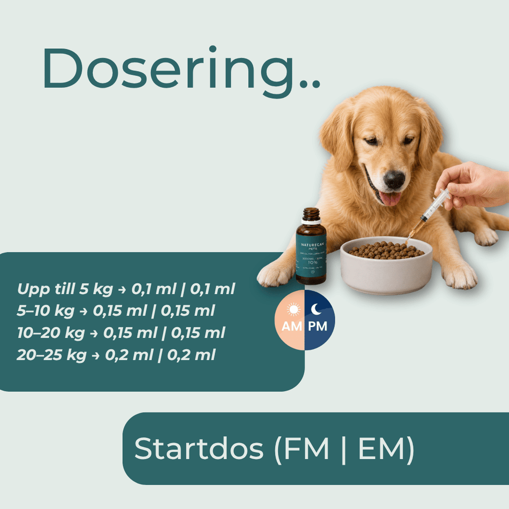 dosering cbd olja för hundar