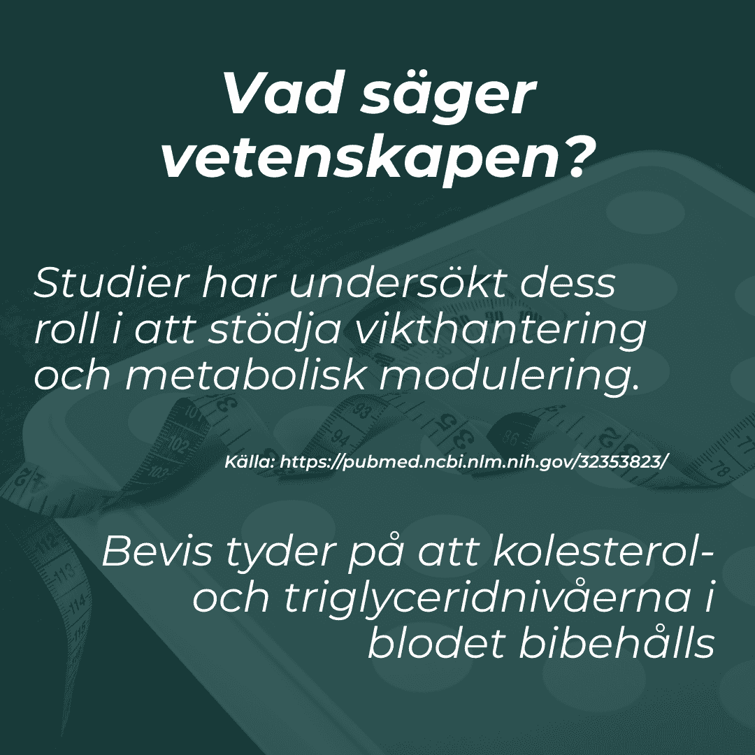 vetenskapen om Berberine 