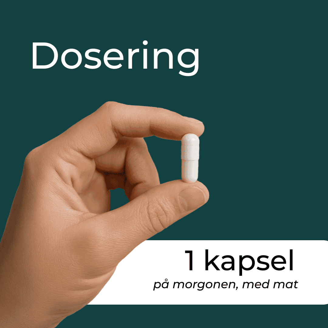 dosering av Berberine 