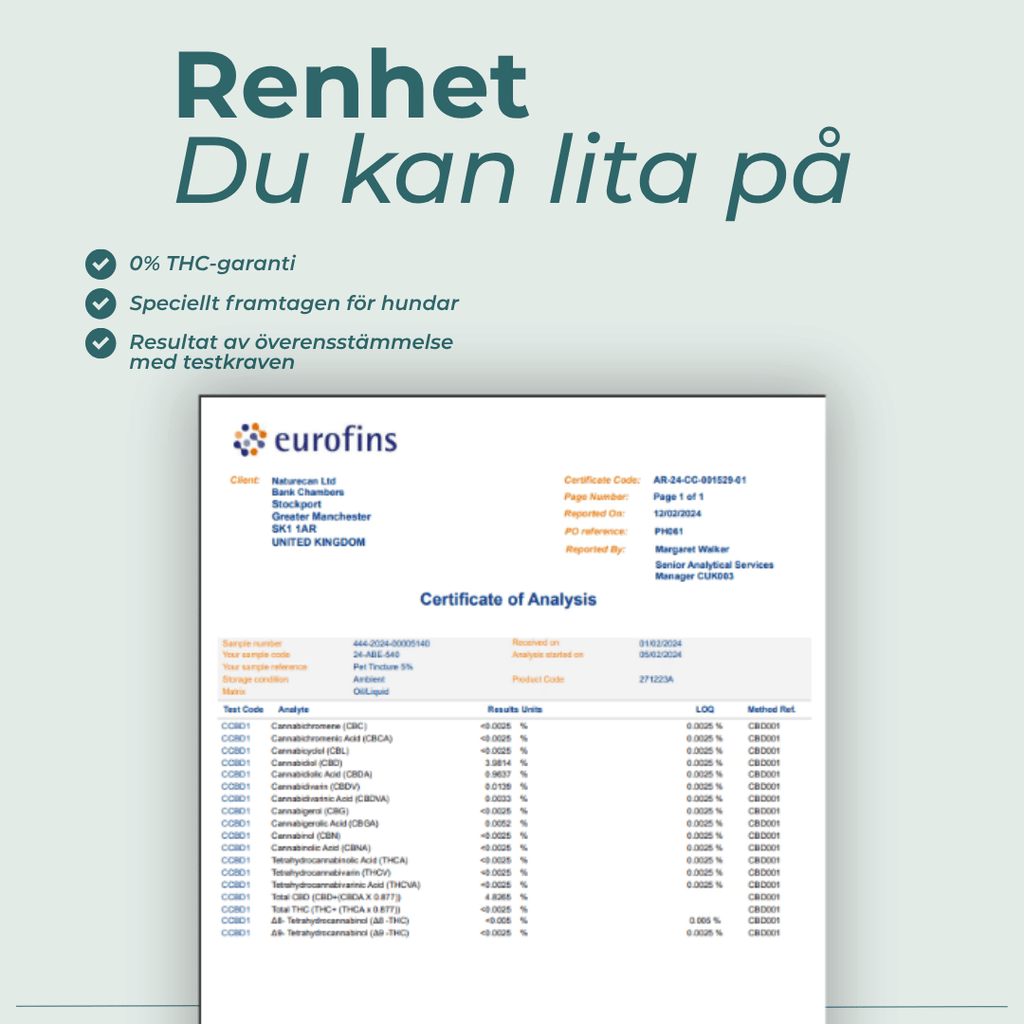 cbd hund labbrapport